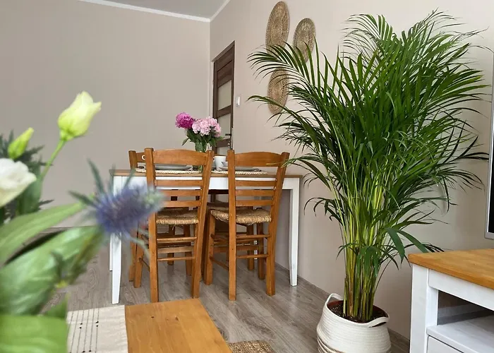 Apartament Sea Nest Brzezno, Blisko Morza